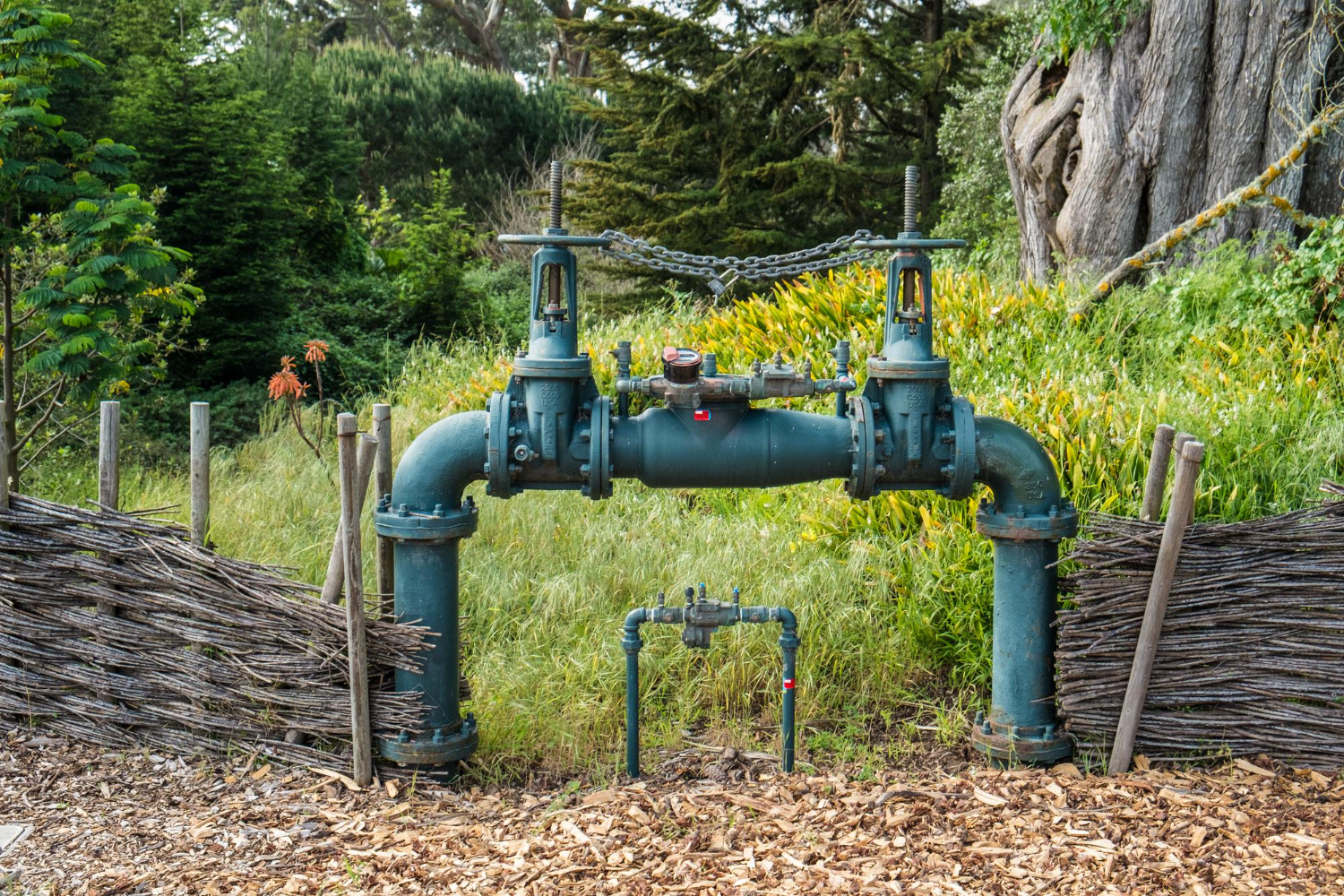 Plumbing Risk Assessment: Prevent Damage and Ensure Safety